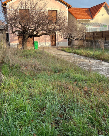 Remise en état d’un jardin à Avignon 