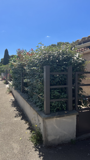 Taille d’une haie sur Villeneuve les Avignon