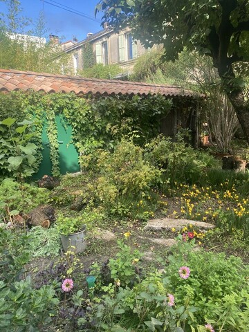 Jardinier paysagiste Avignon : abattage de jujubier et entretien de jardins