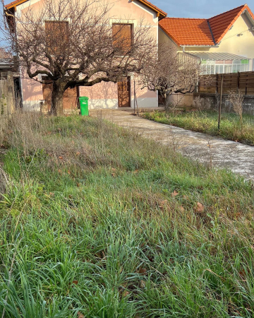 Remise en état d’un jardin à Avignon 