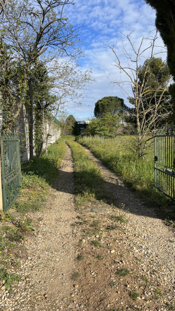 Entretien d’un jardin sur le Pontet 