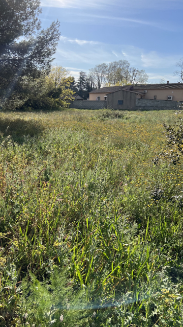 Avant/ Après la réalisation d’un entretien sur le Pontet 