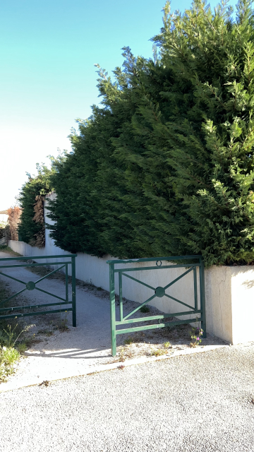 Taille d’une haie de cyprès sur Sorgues