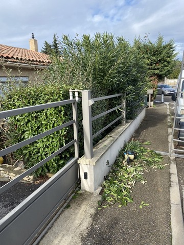 Entretien d’une haie de divers végétaux sur Villeneuve lès Avignon