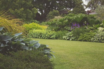 Créer un Jardin Méditerranéen Résilient à Avignon : Conseils et Astuces par Aime Ton Garden