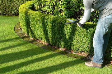 Votre jardinier paysagiste proche de chez vous 